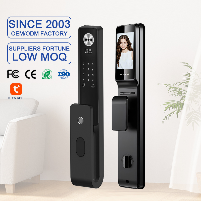 Cerradura Inteligente Tuya Wif - Smart Door Lock Wifi recensie en prijs