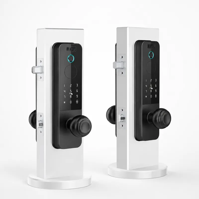 Houten deurslot met gezichtshe - Smart Door Lock Wifi recensie en prijs